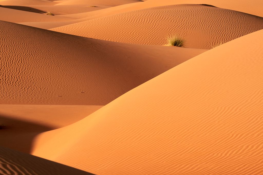 Oman