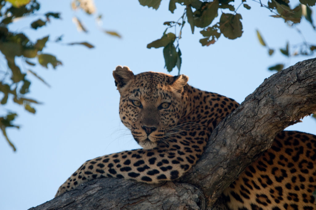 Botswana